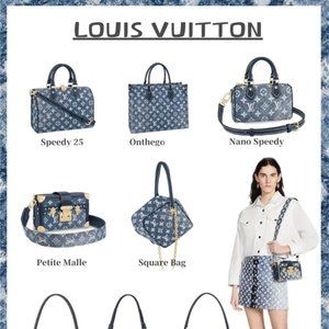Louis Vuitton Fashion Luxury Bags